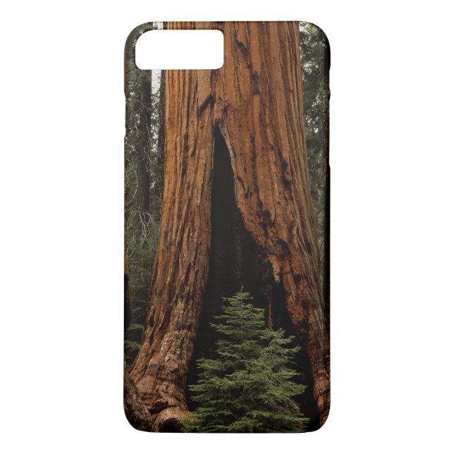 Funda De Case-Mate Para iPhone Árboles de Secuoya, Parque Nacional Sequoia. (Reverso)