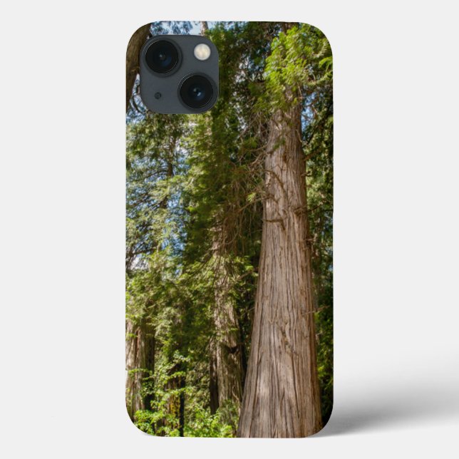 Funda De Case-Mate Para iPhone Árboles del Cedro Rojo Occidental (Reverso)