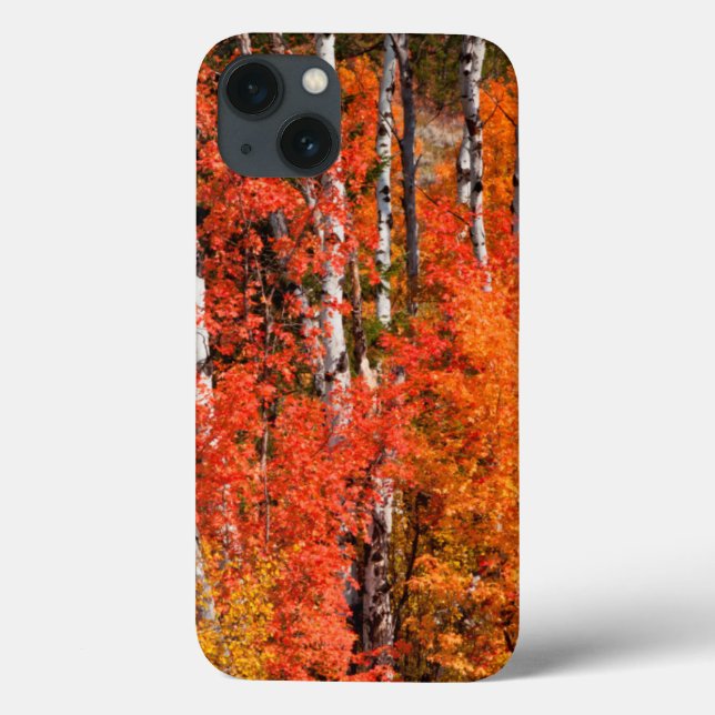 Funda De Case-Mate Para iPhone Arce Rojo (Acer Rubra) Y Álamos Temblones (Reverso)