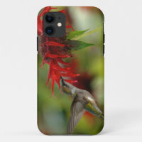 Archilochus Colubris, colibrí con trompeta