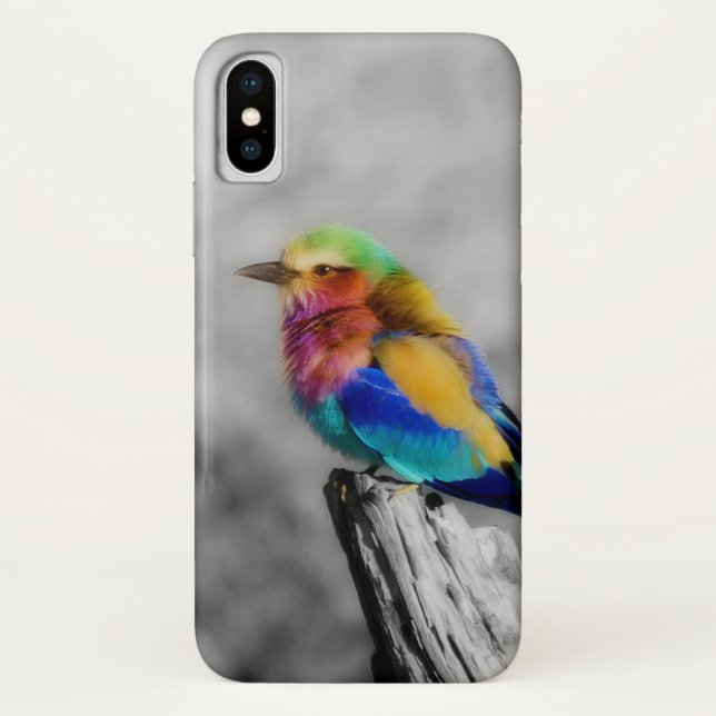 Funda De Case-Mate Para iPhone Arcoiris (Reverso)