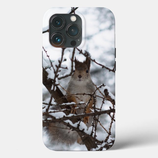 Funda De Case-Mate Para iPhone Ardilla (Reverso )
