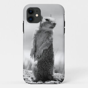 Funda Para iPhone 11 Ardilla