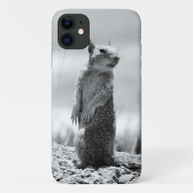 Funda De Case-Mate Para iPhone Ardilla (Reverso)