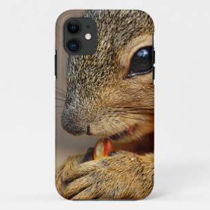 Funda Para iPhone 11 Ardilla 5