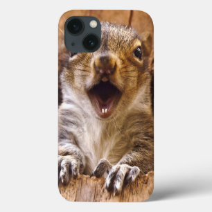 Funda Para iPhone 13 Ardilla chocada