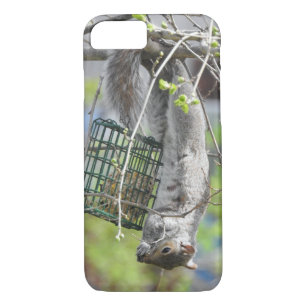 Funda Para iPhone 8/7 Ardilla colgando boca abajo comiendo