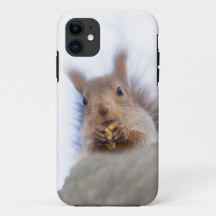 Funda Para iPhone 11 Ardilla con nogal