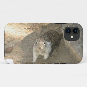 Funda Para iPhone 11 Ardilla Cuta en Yosemite, California