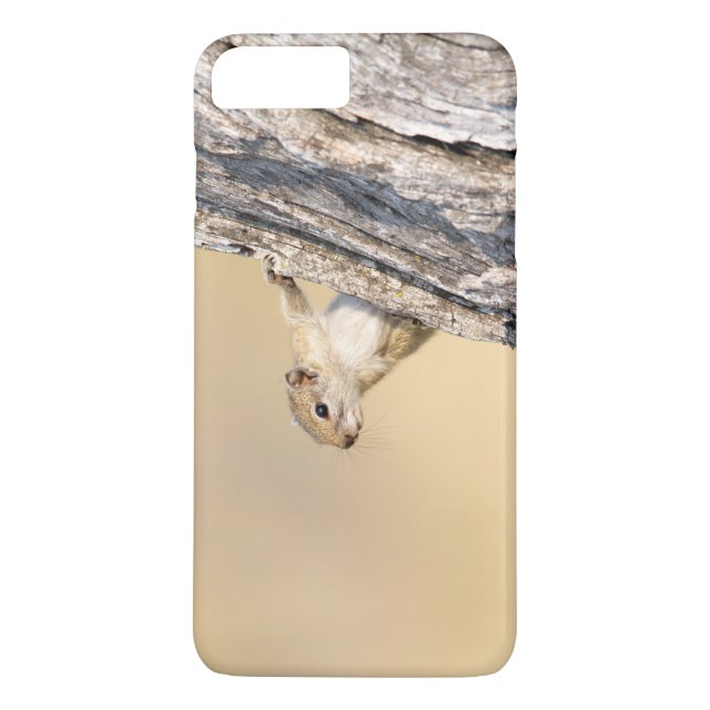 Funda De Case-Mate Para iPhone Ardilla de árbol (Reverso)