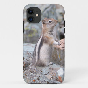 Funda Para iPhone 11 Ardilla de Tierra de Manto Dorado en Glacier II