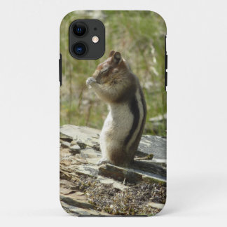 Funda Para iPhone 11 Ardilla de tierra manchada de oro en el glaciar I