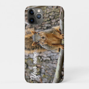 Funda Para iPhone 11 Pro Ardilla de zorro falso