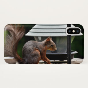 Funda Para iPhone X ardilla en el alimentador de aves