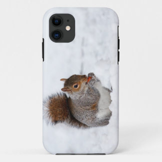 ardilla en Funda para iPhone 5 de invierno