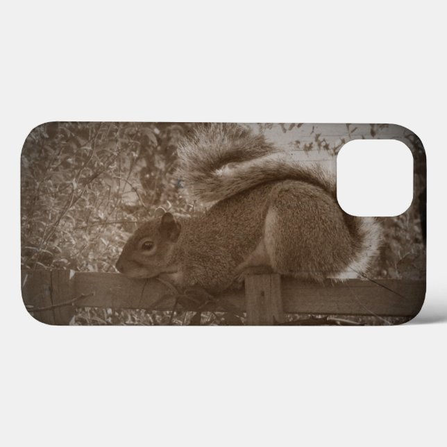 Funda De Case-Mate Para iPhone ardilla gris descansando foto de vida silvestre en (Reverso (Horizontal))