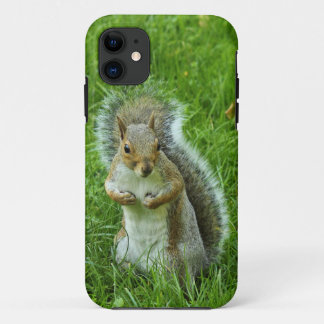 Funda Para iPhone 11 Ardilla gris, Parque Bute, Cardiff