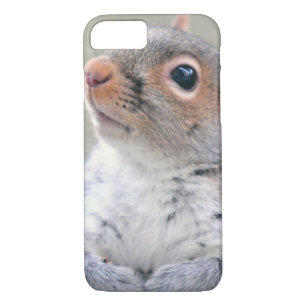 title_seo2 Ardilla gris suave y suave