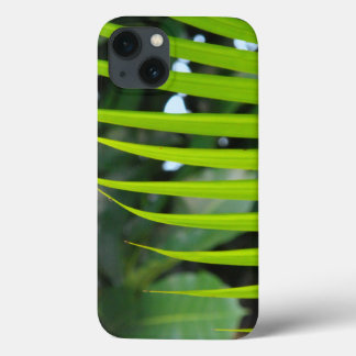 title_seo2 Areca Palm Frond