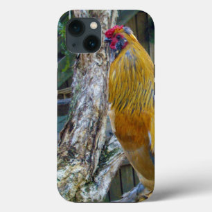 Funda Para iPhone 13 Aroma Fluffy Gris naranja,