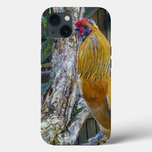 Funda De Case-Mate Para iPhone Aroma Fluffy Gris naranja, (Reverso )