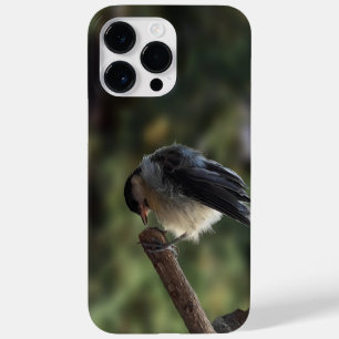 Funda Para iPhone 14 Pro Max De Case-Mate Arregla mi pájaro el Parus Major