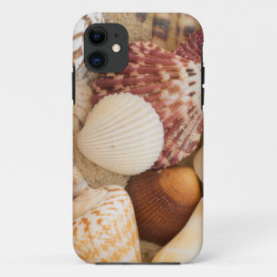 Funda Para iPhone 11 Arreglo del Seashell