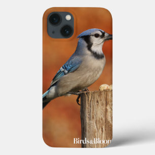Funda Para iPhone 13 Arrendajo azul