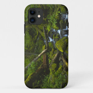 Funda Para iPhone 11 Arroyo de Selva Templada en el río Columbia