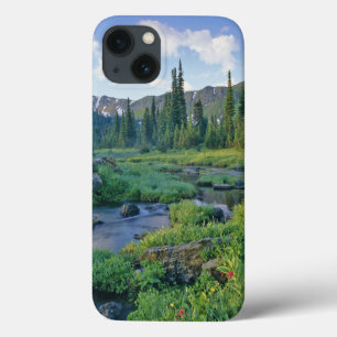 Funda Para iPhone 13 Arroyo Picnic en la Cuenca Jewel de Swan