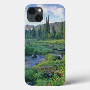 Funda Para iPhone 13 Arroyo Picnic en la Cuenca Jewel de Swan