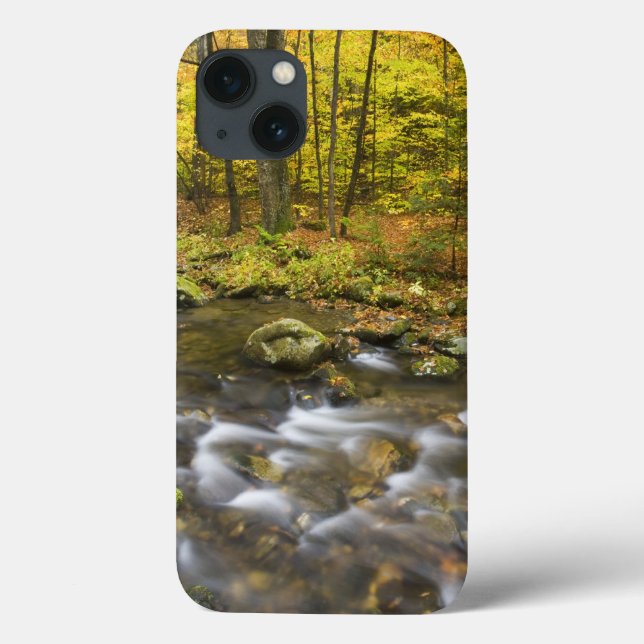 Funda De Case-Mate Para iPhone Arroyo Sanderson. Bosque Estatal Chester-Blanford. (Reverso)