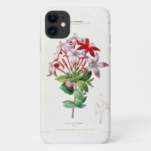 Funda Para iPhone 11 Arte Botánico Vintage La Casse De Caroline