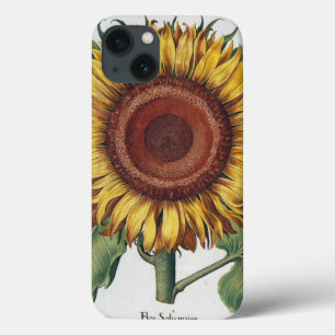 Funda Para iPhone 13 Arte de Flor de Damasco Vintage Girasol