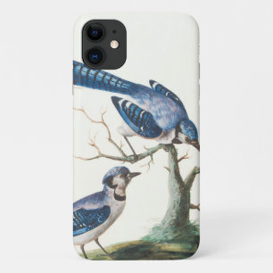 Funda Para iPhone 11 Arte de Jay azul acuarela