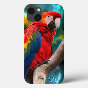 title_seo2 Arte de loros 1B