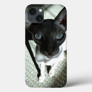 Funda Para iPhone 13 Arte original: "Cuidado, el Sphynx puede hipnotiza