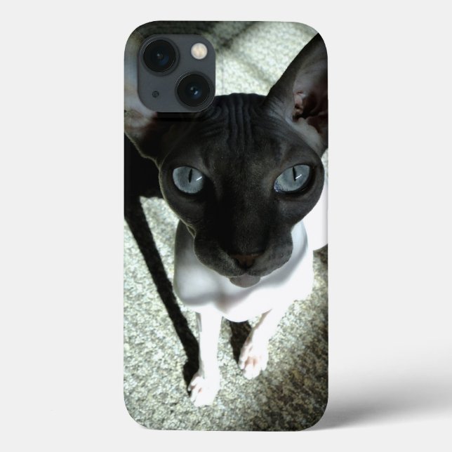 Funda De Case-Mate Para iPhone Arte original: "Cuidado, el Sphynx puede hipnotiza (Reverso)