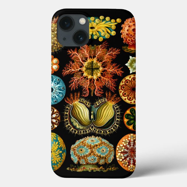 Funda De Case-Mate Para iPhone Ascidiacea, Ernst Haeckel Bella Artes (Reverso)