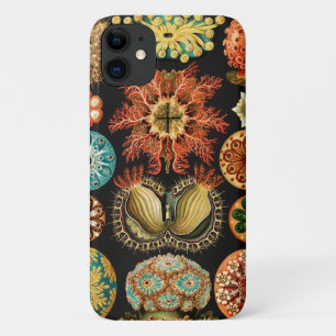Funda Para iPhone 11 Ascidiae, Seescheiden Marine Life, por Ernst Haeck