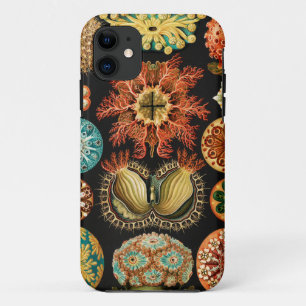 Funda Para iPhone 11 Ascidiae, Seescheiden Vida Marina por Ernst Haecke