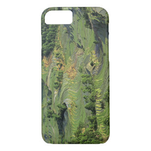 Funda Para iPhone 8/7 Asia, China, Yunnan, Yuanyang. Patrón verde 2