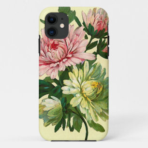 title_seo2 Asters