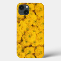 Astras de jardín amarillo mamá crisantemo flor