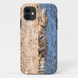 Funda Para iPhone 11 Atardecer de bebé lagarto