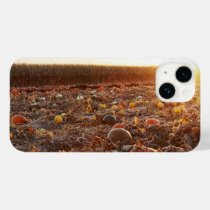 Funda Para iPhone 14 De Case-Mate Atardecer en el Parche de Calabaza C