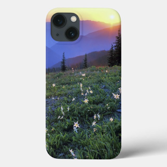 Funda De Case-Mate Para iPhone Atardecer en Obstruciton Point, Parque Nacional Ol (Reverso)