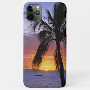 Funda Para iPhone 11 Pro Max Atardecer tropical con palmera
