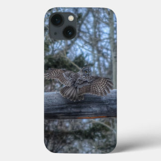Funda Para iPhone 13 Aterrizar el gran polo de gris y rancho
