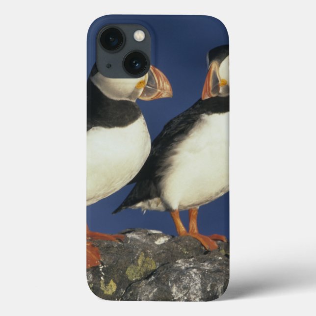 Funda De Case-Mate Para iPhone Atlantic Puffin (Reverso)